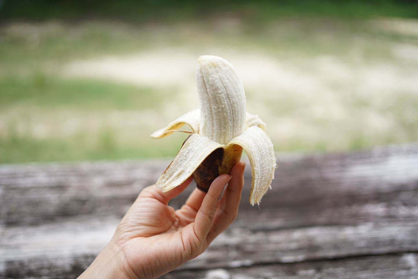 有機栽培アップルバナナ(1.5kg)