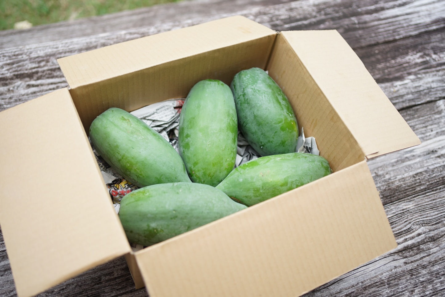 有機栽培 青パパイヤ(3kg)